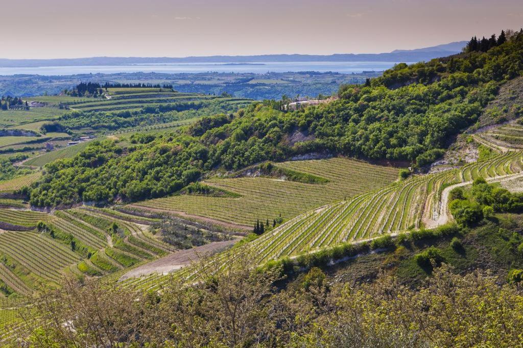 La Grande Casa Valpolicella Acomodação com café da manhã SantʼAmbrogio di Valpolicella Exterior foto